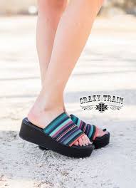 Crazy Train Serape Slide